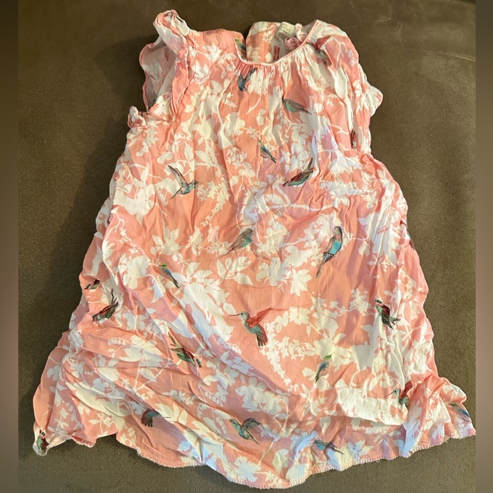 Zara Babygirl pink hummingbird dress Size 2/3 years